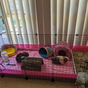 Photo from Hannah's review